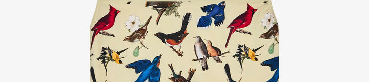 BIRDS OF GEORGIA VEST