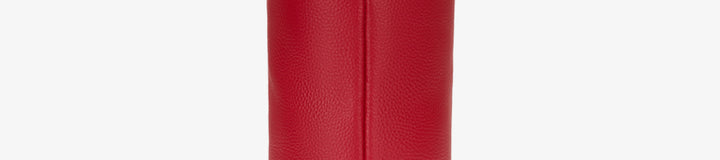 LUNAR NEW YEAR DRIVER COVER